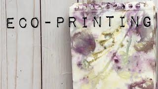 Easy Eco-Printing on Paper