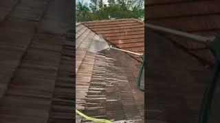 Two story roof cleaning