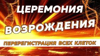 Запуск новой жизненной программы. Секретные коды для начала новой СЧАСТЛИВОЙ жизни. #счастье