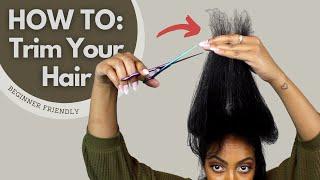 How To Trim Your Own Hair | Beginner Friendly 