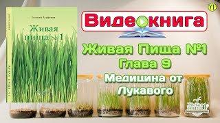 Евгений Агафонов, Видео книга "Живая пища №1", Глава 9 "Медицина от лукавого" (Видео 129)