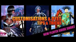 Guild Wars 2 New Player Guide 2022 Short | Gear Customisation and Dyes