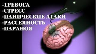 АЛКОГОЛЬНЫЙ СТРАХ. Что делать если после пьянки вы ощутили ТРЕВОГУ, упадок сил и БЕЗЫСХОДНОСТЬ.