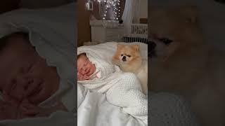 Моя беременность  #pregnant #мамаюмор #родывсша