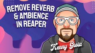 Remove Reverb & Ambience in REAPER (Goyo Plugin)