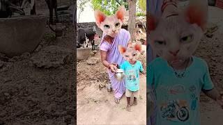 Lalla Lalla Lori milk  katori  funny cute cat  viral video