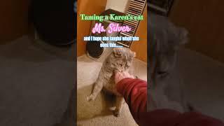 Taming a Karen's cat. #cat #catshorts #karen