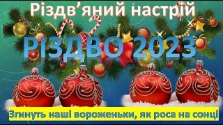 Святкова підбірка Різдво 2023 / Праздничная подборка Рождество 2023 (2023)