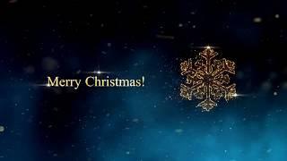 Equinox Academy Christmas