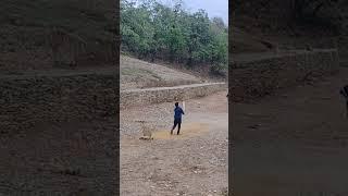 amit negi vlogs pahadi cricket 