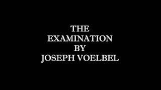 Nineteen Stories | The Examination (8 of 19)