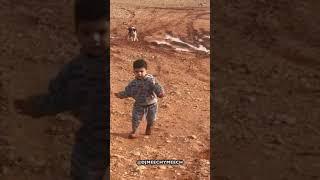 KID VS DOG VOICEOVER