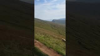 Corn Du and Pen Y Fan #nature #hikking #solohiking #outdooradventure #mountains #nature