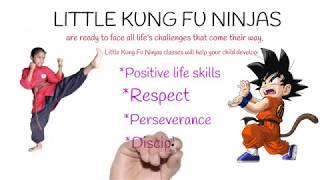 Davanand Samaroo Little Kung Fu Ninjas