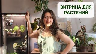 ДОЛГОЖДАННАЯ покупка / Собираю ВИТРИНУ для РАСТЕНИЙ от IKEA