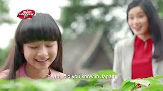 Lifebuoy Japanese Shiso Bodywash   Detox skin from harmful germs while being gentle on skin