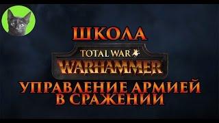 Школа Total War WARHAMMER #4 - Управление армией в сражении