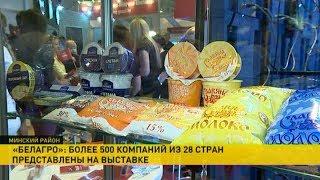 ЕЭК требует отменить ограничения на ввоз белорусской молочной продукции в Россию