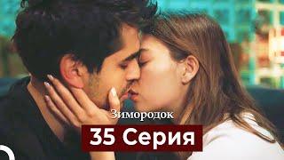 Зимородок 35 Cерия (Русский дубляж)