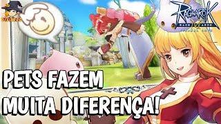 UPE MAIS RÁPIDO COM ESSAS DICAS SOBRE O PETs aprenda tudo sobre eles! / Ragnarok M: Eternal Love