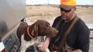 Steve Explains Musher's Secret -- Gun Dog Supply