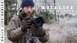 A Day With Landscapes and Wildlife - Photographing the Beauty of Winter