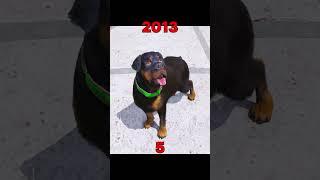 GTA V | Chop Age 