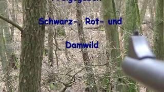 Treibjagd; DJ im Nationalpark Dez. 2017 Achtung Wild wird erlegt