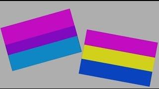 Bisexuality vs Pansexuality