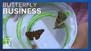 Pair of Utah brothers bank on butterflies for business