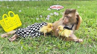Monkey Lyly thoughtfully takes the duck to the field to relieve stress.