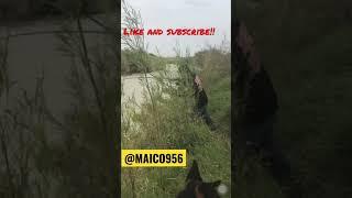 ALLIGATOR GAR!!! Part 1 #alligatorgar #fishing #956fishing