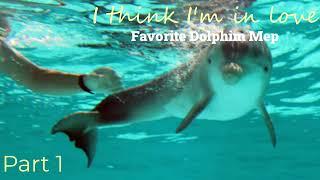 i think im in love - favorite dolphin mep - closed