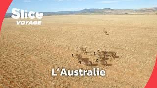 L'Australie : le continent désert I SLICE VOYAGE