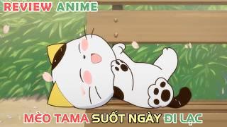 Mèo Con Suốt Ngày Đi Lạc | REVIEW PHIM ANIME HAY