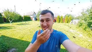 Лучшее средство от комаров