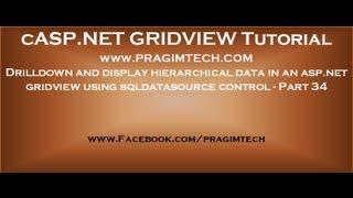 Drilldown and display hierarchical data in an asp.net gridview using sqldatasource control - Part 34