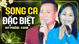 Song Ca Duy Phường, A Đam - Lk Song Ca Trữ Tình Hay Nhất 2025