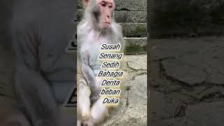 Nasib Hidup Sendirian