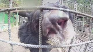 В гостях у РКЦ Велес