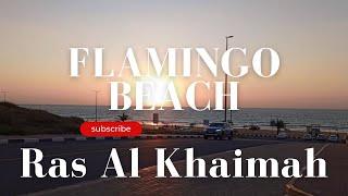 Explore Flamingo Beach in Ras Al Khaimah