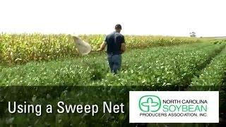 Using a Sweep Net