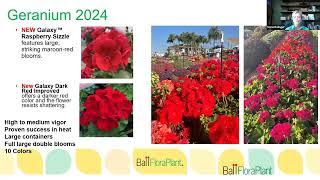 2024 New Varieties Webinar - Ball FloraPlant & Selecta One