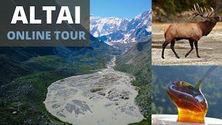 Altai online tour, best Russia places  online tourism