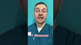 шиповник, отвар шиповника, польза шиповника, здоровье, шиповник