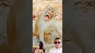 Makre kusik agana#cutebaby #funny#reaction Garo youtube video