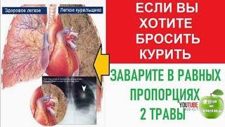 Чай для курильщиков или Как быстро бросить курить!