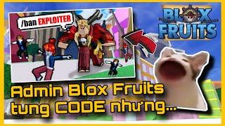 Admin Blox Fruits tung Code mới nhưng lại BAN căng | HM Tin Game