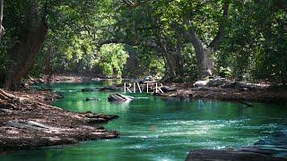 Relaxing river sound, Nature sound, river sound in forest | No Music #Naturerelax