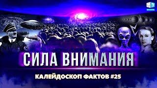 Сила внимания | Калейдоскоп фактов 25